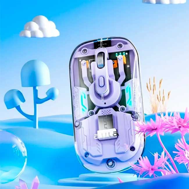 vista 1