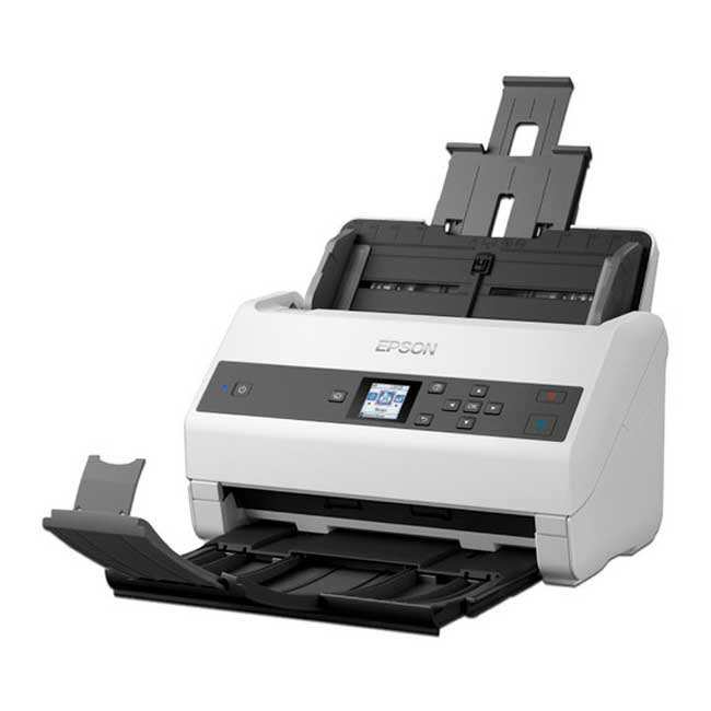 vista 1