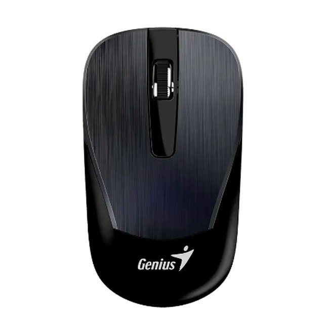 vista 1