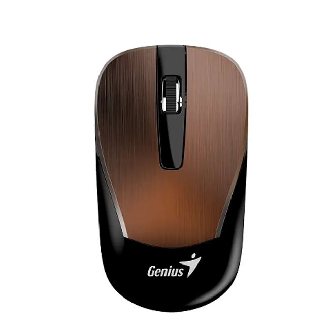 vista 1