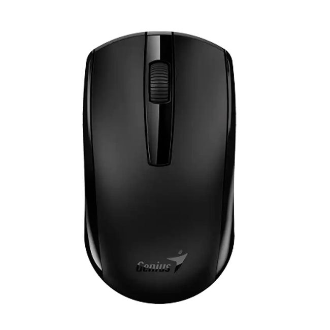 vista 1