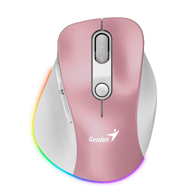 mouse inalámbrico recargable Ergo 9000S Pro | Bluetooth 5.0, silencioso, 6 botones y RGB