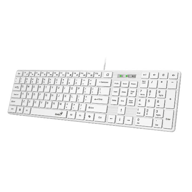 vista 1