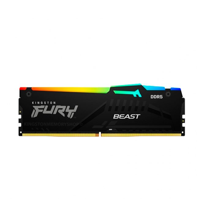 Memoria Ram Kingston Fury Beast 16GB DDR5-5600MHz PC5-44800 CL40, 1.25V, 288-Pin, XMP 3.0, RGB