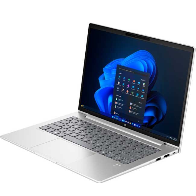vista 1