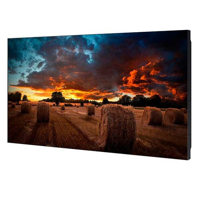 vista 1