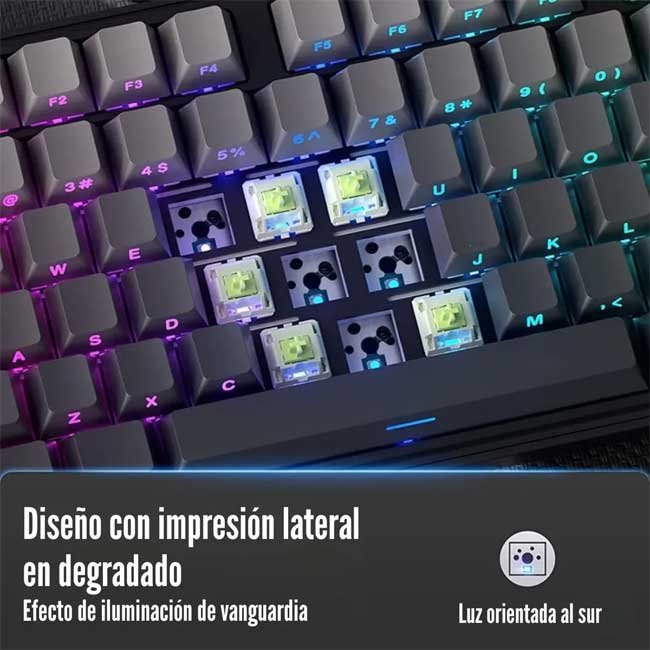 vista 2