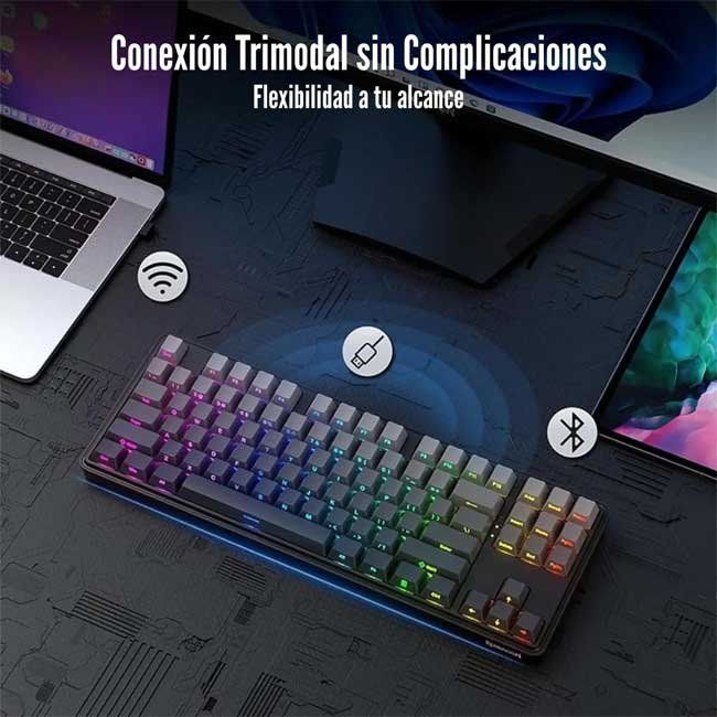 vista 3